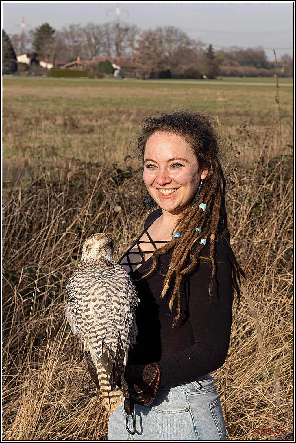 Cheyenne-Halbblut Hunting Wolf in der Falknerei Pierre Schmidt; Gymnich, 09.02.2023